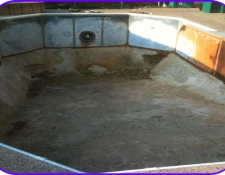 dynastie-before-pic
